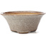 Vaso bonsai rotondo bianco di Bonsai - 120 x 120 x 50 mm