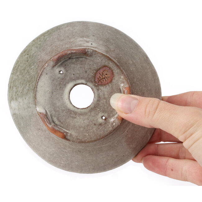 Round white bonsai pot by Bonsai - 125 x 125 x 50 mm