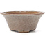 Vaso bonsai rotondo bianco di Bonsai - 120 x 120 x 50 mm