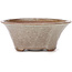 Vaso bonsai rotondo bianco di Bonsai - 120 x 120 x 50 mm