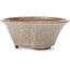 Vaso bonsai rotondo bianco di Bonsai - 120 x 120 x 50 mm