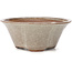 Vaso bonsai rotondo bianco di Bonsai - 120 x 120 x 50 mm