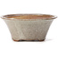 Vaso bonsai rotondo bianco di Bonsai - 120 x 120 x 50 mm