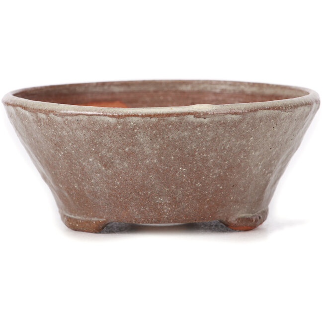 Maceta de bonsái blanca redonda de Bonsai - 120 x 120 x 50 mm