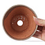 Round white bonsai pot by Bonsai - 120 x 120 x 50 mm
