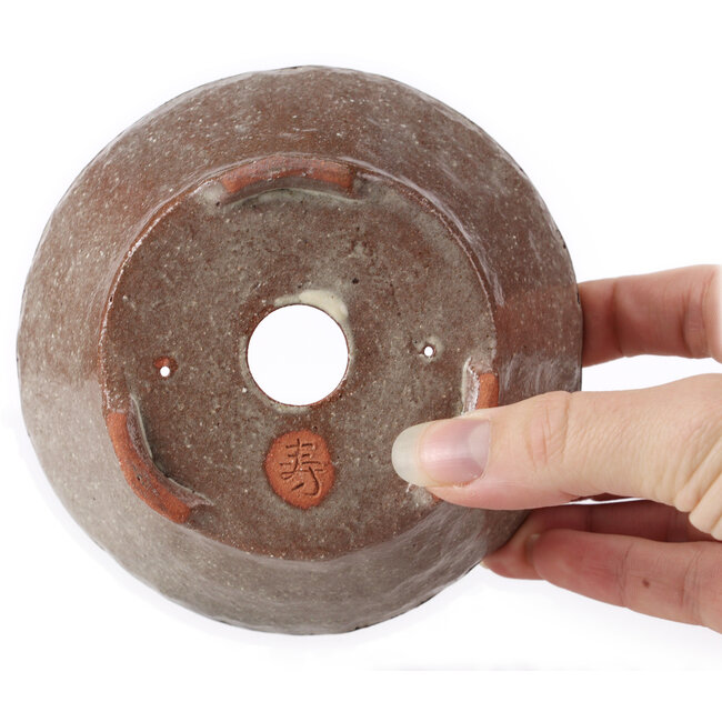 Ronde witte bonsaipot van Bonsai - 120 x 120 x 50 mm