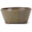 Vaso per bonsai rotondo marrone e bianco di Bonsai - 105 x 105 x 50 mm