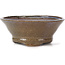 Maceta de bonsái redonda marrón y blanca de Bonsai - 115 x 115 x 50 mm