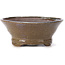 Vaso per bonsai rotondo marrone e bianco di Bonsai - 115 x 115 x 50 mm