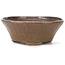 Round brown and blue bonsai pot by Bonsai - 120 x 120 x 50 mm