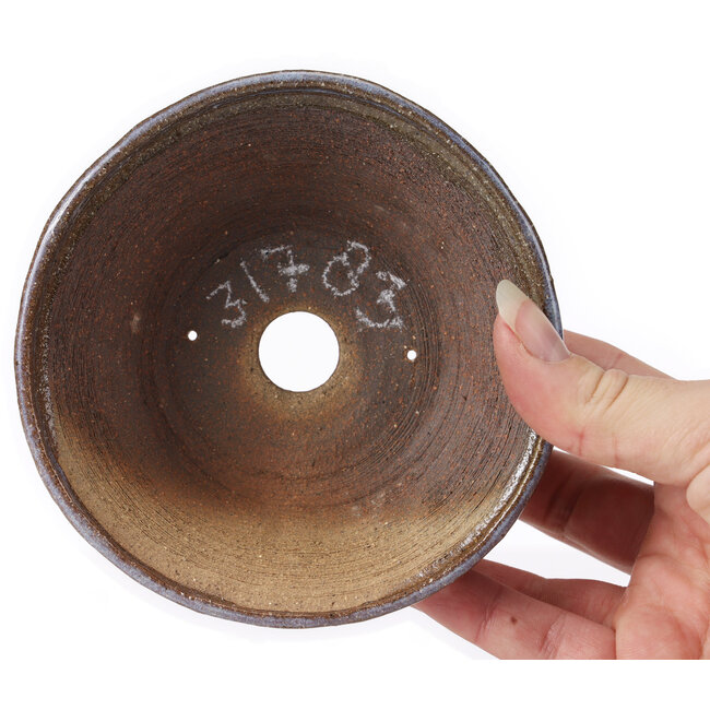 Pot à bonsaï rond marron et bleu par Bonsai - 120 x 120 x 50 mm