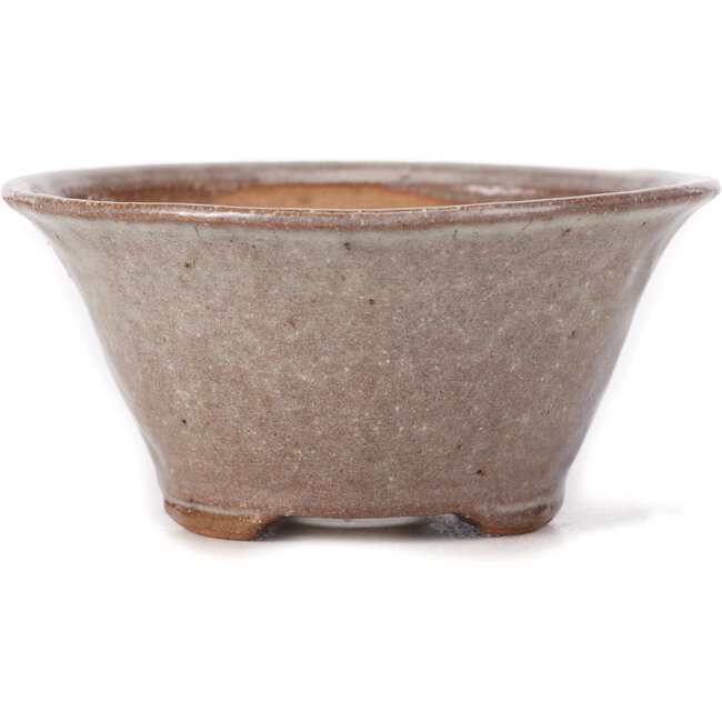 Maceta de bonsái redonda marrón y blanca de Bonsai - 115 x 115 x 60 mm