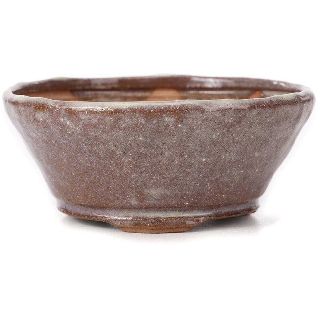 Round brown and white bonsai pot by Bonsai - 125 x 125 x 55 mm