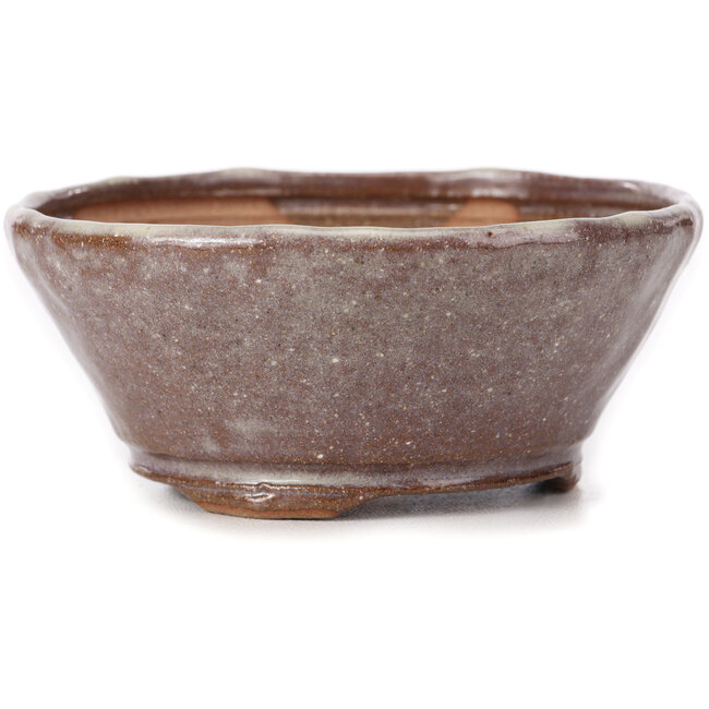 Pot à bonsaï rond marron et blanc par Bonsai - 125 x 125 x 55 mm