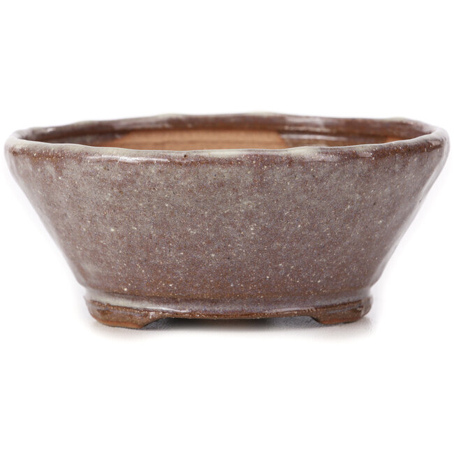 Runde braune und weiße Bonsaischale von Bonsai - 125 x 125 x 55 mm