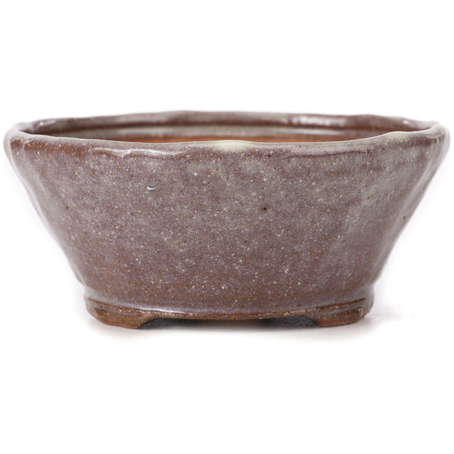 Ronde bruine en witte bonsaipot van Bonsai - 125 x 125 x 55 mm