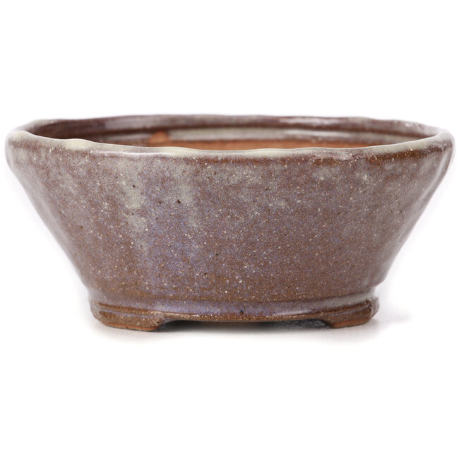 Ronde bruine en witte bonsaipot van Bonsai - 125 x 125 x 55 mm