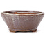 Round brown and white bonsai pot by Bonsai - 125 x 125 x 55 mm