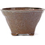 Vaso per bonsai rotondo marrone e bianco di Bonsai - 105 x 105 x 65 mm