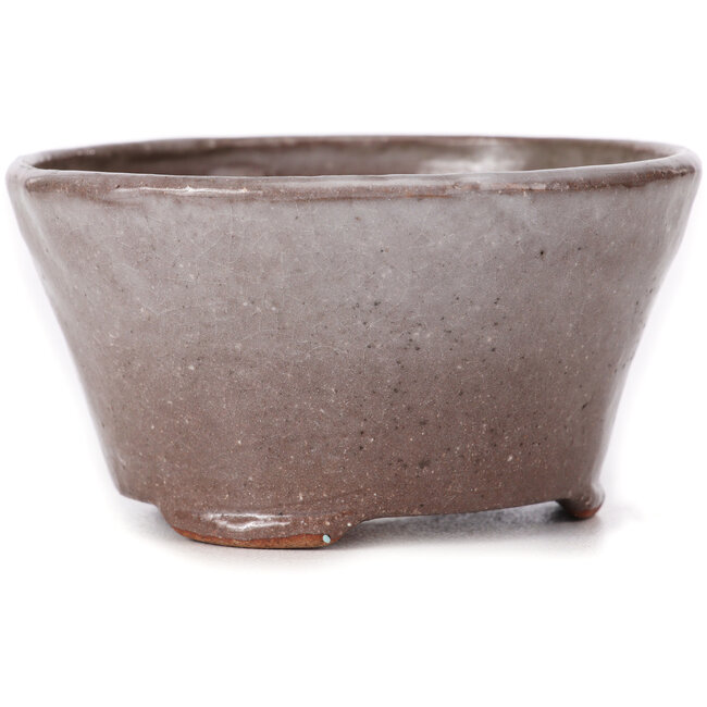 Maceta de bonsái redonda marrón y blanca de Bonsai - 105 x 105 x 50 mm