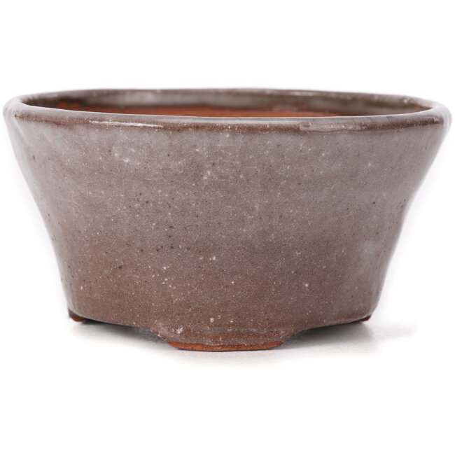 Ronde bruine en witte bonsaipot van Bonsai - 105 x 105 x 50 mm