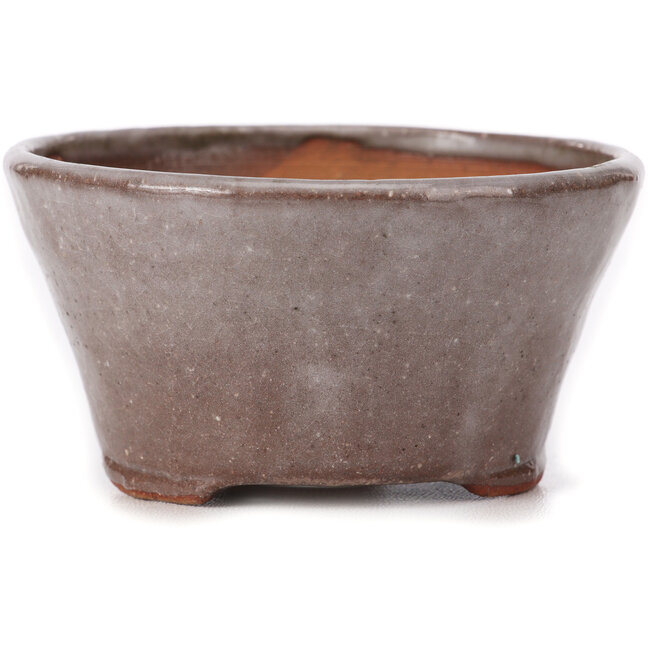 Maceta de bonsái redonda marrón y blanca de Bonsai - 105 x 105 x 50 mm