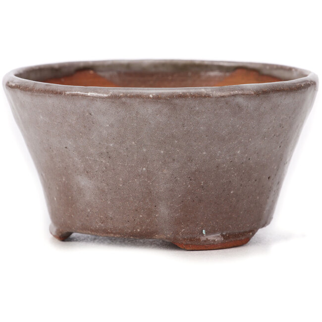 Pot à bonsaï rond marron et blanc par Bonsai - 105 x 105 x 50 mm