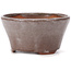 Pot à bonsaï rond marron et blanc par Bonsai - 105 x 105 x 50 mm