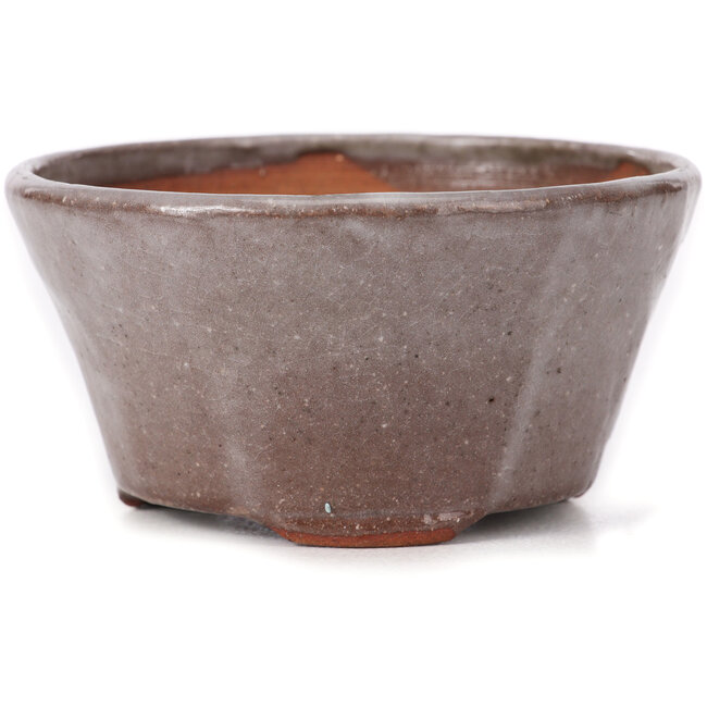 Pot à bonsaï rond marron et blanc par Bonsai - 105 x 105 x 50 mm