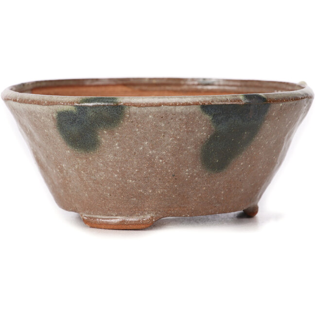 Vaso per bonsai rotondo marrone e bianco di Bonsai - 120 x 120 x 50 mm