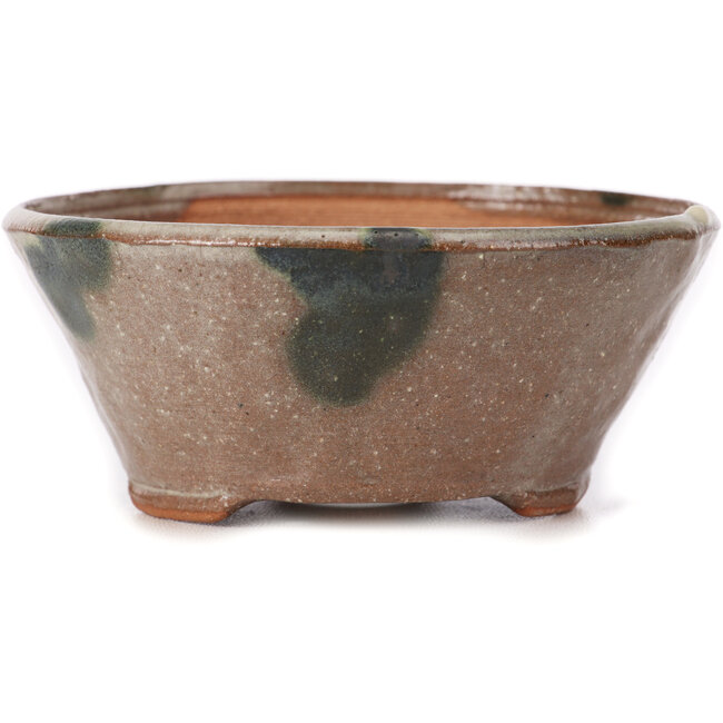 Vaso per bonsai rotondo marrone e bianco di Bonsai - 120 x 120 x 50 mm