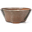 Round brown and white bonsai pot by Bonsai - 120 x 120 x 50 mm