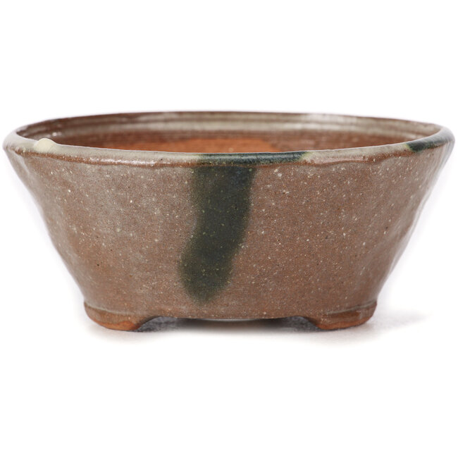 Maceta de bonsái redonda marrón y blanca de Bonsai - 120 x 120 x 50 mm