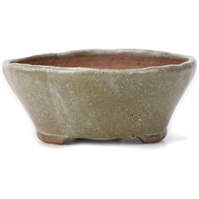 Round brown and white bonsai pot by Bonsai - 115 x 115 x 50 mm