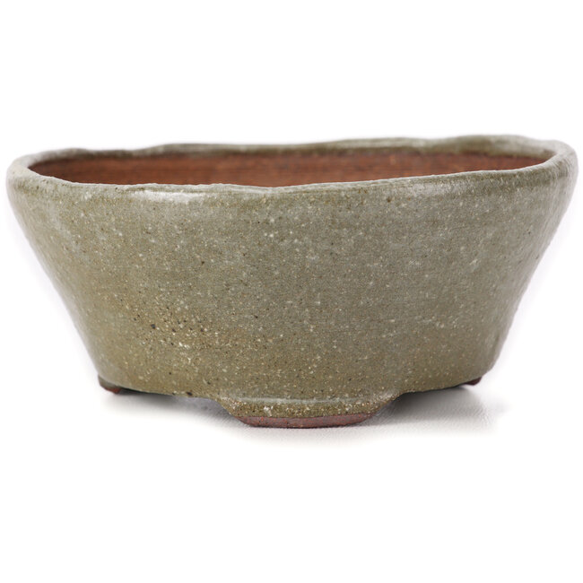 Runde braune und weiße Bonsaischale von Bonsai - 115 x 115 x 50 mm