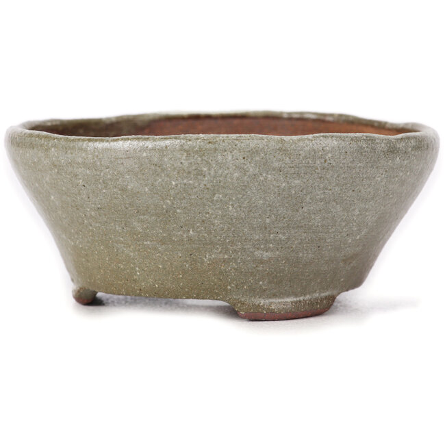 Vaso per bonsai rotondo marrone e bianco di Bonsai - 115 x 115 x 50 mm