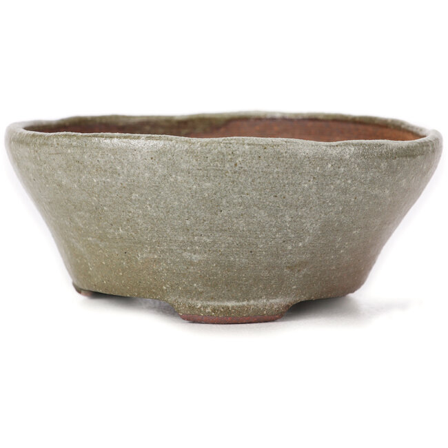 Pot à bonsaï rond marron et blanc par Bonsai - 115 x 115 x 50 mm