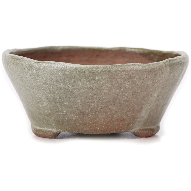 Ronde bruine en witte bonsaipot van Bonsai - 115 x 115 x 50 mm