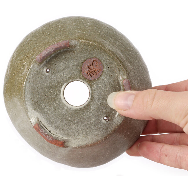 Ronde bruine en witte bonsaipot van Bonsai - 115 x 115 x 50 mm