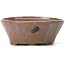 Vaso per bonsai rotondo marrone e bianco di Bonsai - 115 x 115 x 45 mm
