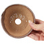 Pot à bonsaï rond marron et blanc par Bonsai - 115 x 115 x 45 mm