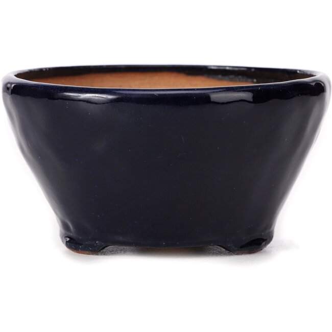 Vaso bonsai rotondo blu di Bonsai - 125 x 125 x 65 mm