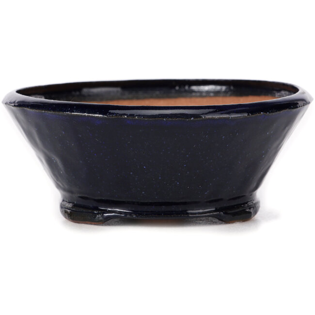Round blue bonsai pot by Bonsai - 125 x 125 x 50 mm