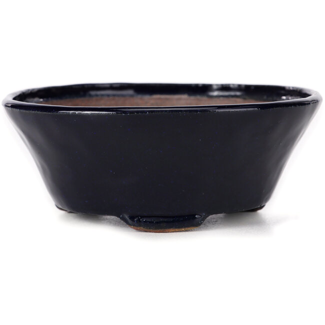 Vaso bonsai rotondo blu di Bonsai - 120 x 120 x 45 mm