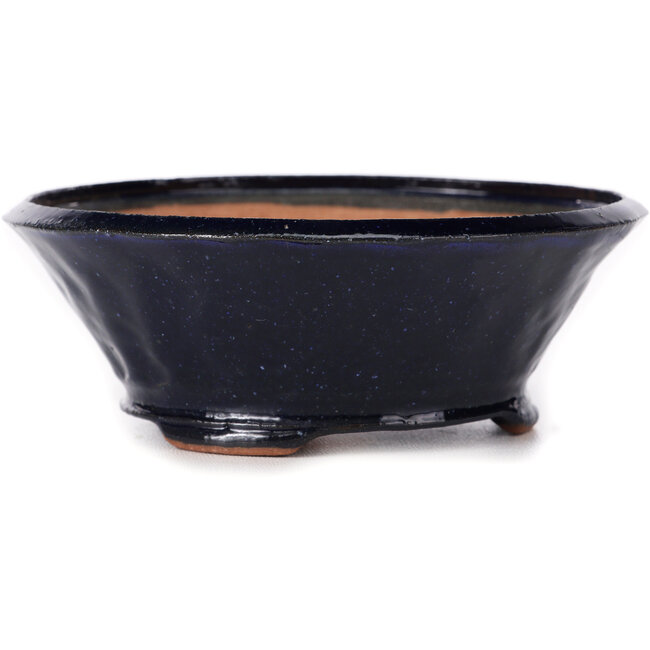 Maceta de bonsái redonda azul de Bonsai - 125 x 125 x 45 mm