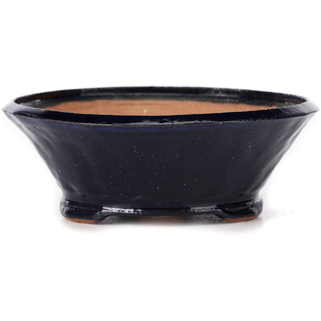 Runde blaue Bonsaischale von Bonsai - 125 x 125 x 45 mm