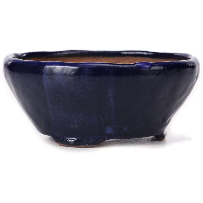 Vaso bonsai rotondo blu di Bonsai - 115 x 115 x 55 mm