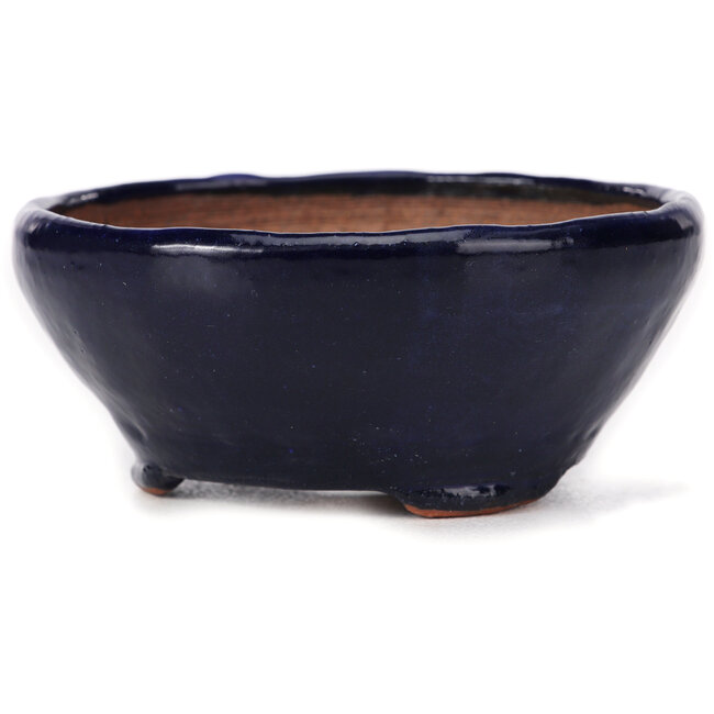 Round blue bonsai pot by Bonsai - 115 x 115 x 55 mm