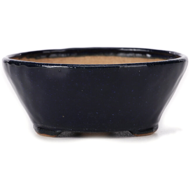 Pot à bonsaï rond bleu par Bonsai - 120 x 120 x 50 mm