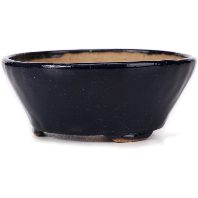 Vaso bonsai rotondo blu di Bonsai - 120 x 120 x 50 mm